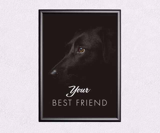 Без названия