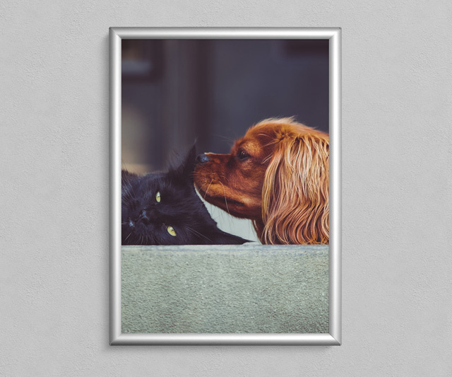 Без названия